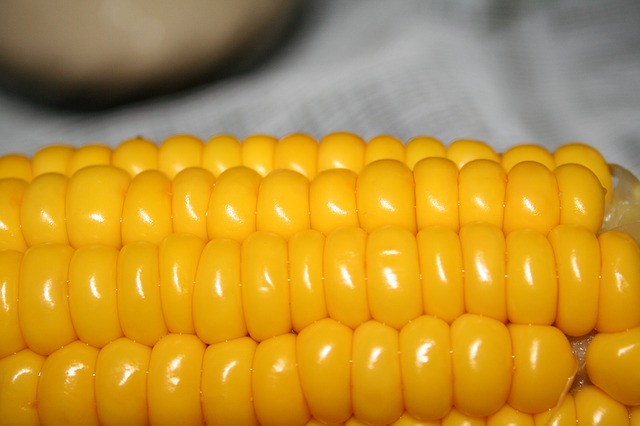 Zmrazování kukuřice postup