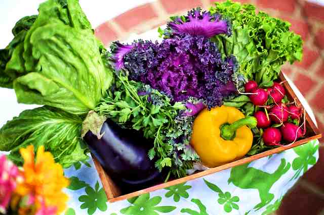 Látkové složení zeleniny tabulka